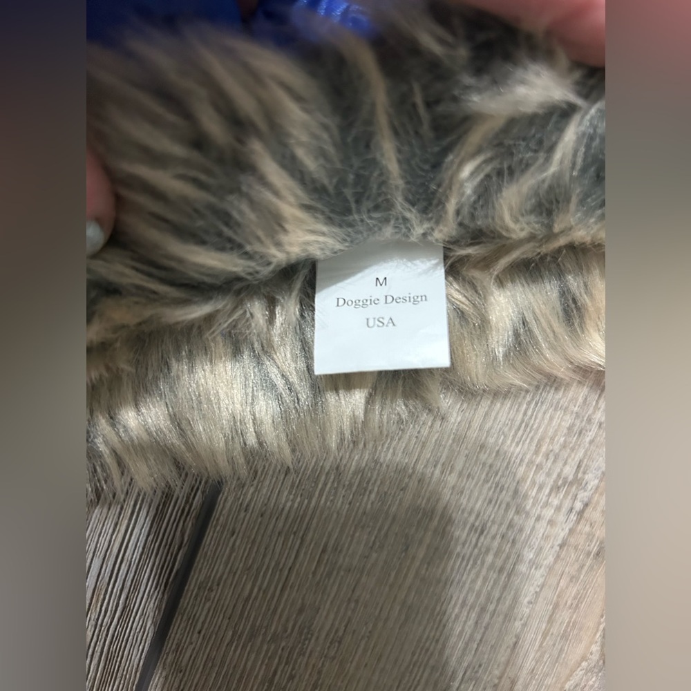 🐶 Winter Alpine jacket ❄️ - Picture 3 of 5